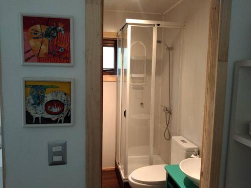 a bathroom with a shower and a toilet and a sink at Linda Cabaña pet friendly a orilla rio y bosque, cerca Termas in Panguipulli