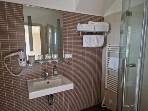 uma casa de banho com um lavatório, um chuveiro e um espelho. em Pension Country Relax em Roupov