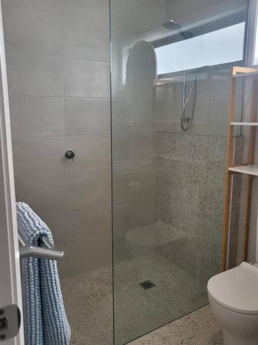 a glass shower in a bathroom with a toilet at Coastal Pod in Port Macquarie