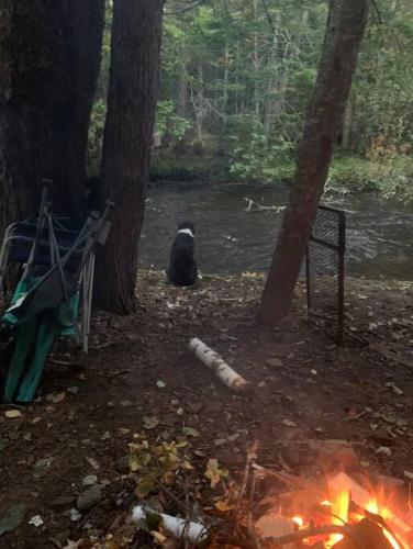 Příroda nedaleko prázdninového domu