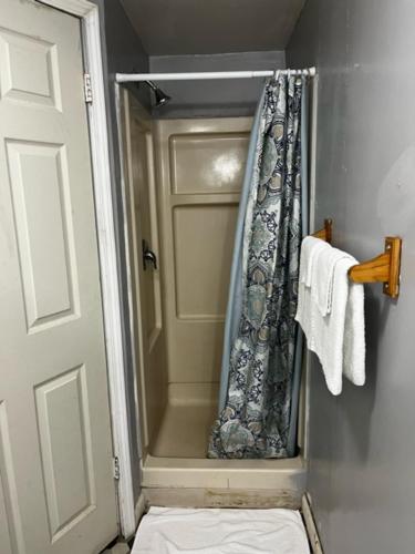 a bathroom with a shower curtain and a toilet at Grand Howell Inn in Howell
