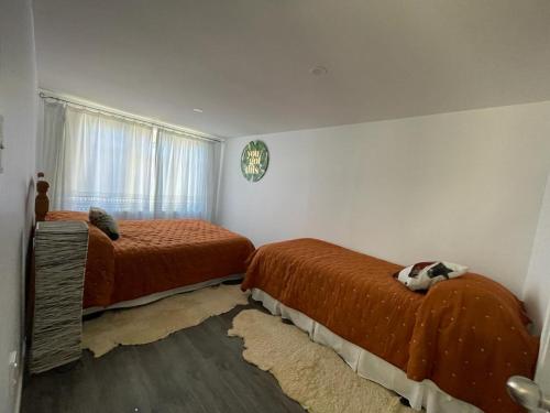 1 Schlafzimmer mit 2 Betten und einem Fenster in der Unterkunft Awa Tui Batch in Blenheim