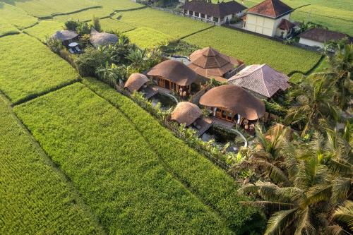 an aerial view of a resort in a rice field at Arapan Ubud Eco Villa in Ubud