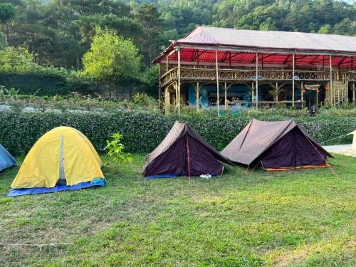 three tents in the grass in front of a building at Lagom Village (Glamping Site) in Hanoi
