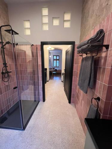 a bathroom with pink tiled walls and a walk in shower at Apartamenty Rynek 18 in Żywiec