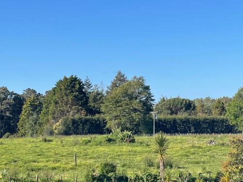 a green field with trees in the background at Cotman Cottage on Coatesville in Kumeu