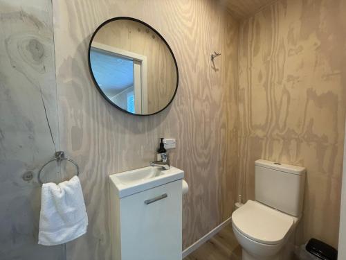 a bathroom with a white toilet and a mirror at Cotman Cottage on Coatesville in Kumeu