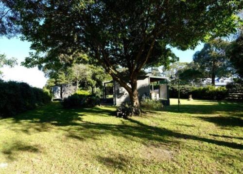 a tree sitting in the middle of a yard at Cottage for two, Marlo in Marlo