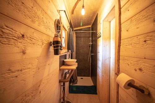een badkamer met een wastafel in een houten muur bij Cabane Chalet avec spa privatif in Charnay