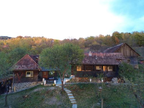 Gallery image of Apusenia - darul naturii in Tarniţa