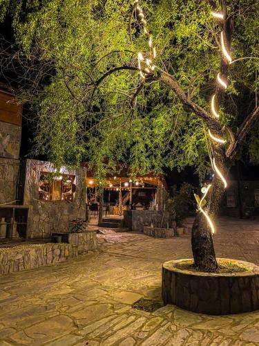 a tree with lights on it in front of a store at bait bimah travel lodge in Bīmah