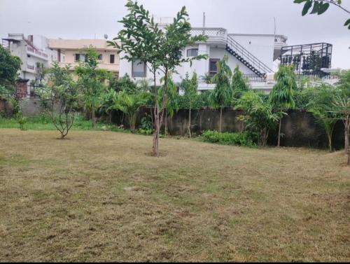 a tree in a field in front of a building at Simbha's Homestay in Jammu
