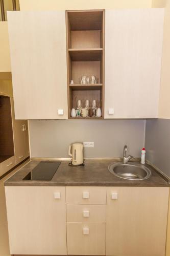 Η κουζίνα ή μικρή κουζίνα στο Gudauri Palace apartments in New Gudauri