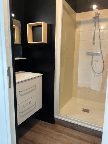 La salle de bains est pourvue d'une douche à l'italienne, d'un lavabo et d'une douche. dans l'établissement Dinan - appartement centre ville, à Dinan