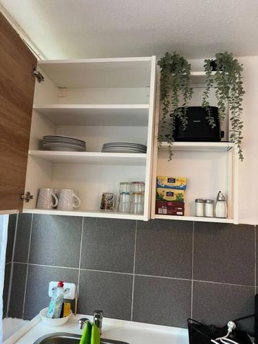 a kitchen with white cabinets with dishes and plants at Apartment (2) am Stuttgarter Flughafen / Messe in Leinfelden-Echterdingen