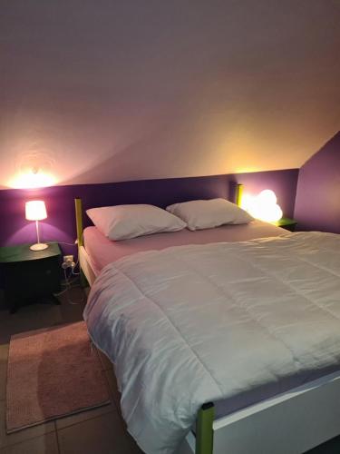 a bedroom with a large bed with two lamps at Hemelse Helderheid in Maasmechelen