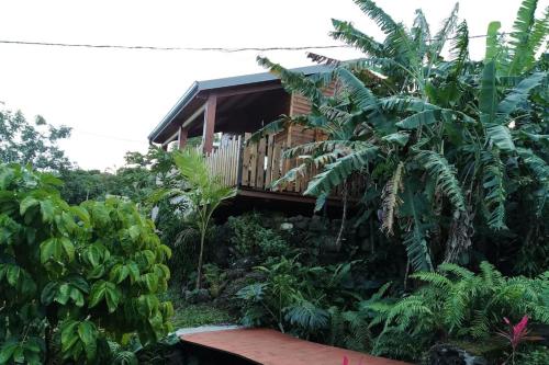 Um jardim em Ti Natte