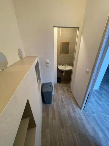 une salle de bain avec un lavabo et un miroir dans l'établissement Superbe appartement rénové au centre de Forbach, à Forbach