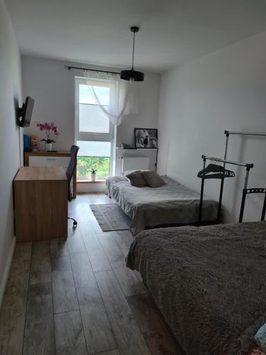1 dormitorio con 2 camas y ventana en Apartament Bema II en Biała Podlaska
