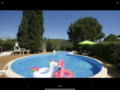 una piscina con un animal de plástico. en La Villa Du Menhir, en Bize-Minervois