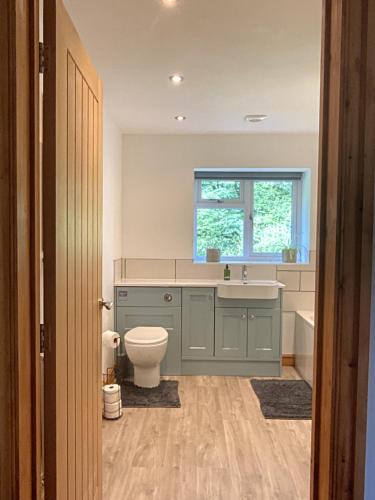 a bathroom with a toilet and a sink and a window at 3 Bedroom Bungalow in Llanrhaeadr Ym in Oswestry