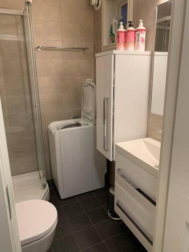 a bathroom with a toilet and a shower and a sink at Gimle cozy apartment in Tromsø
