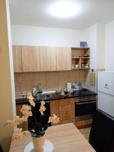 Eldhús eða eldhúskrókur á Apartman Central