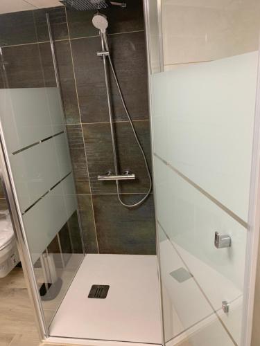 y baño con ducha y puerta de cristal. en Appartement neuf 1 à 6 personnes dans maison individuelle, en Haguenau