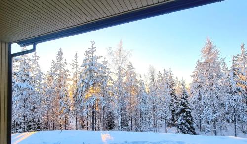 een uitzicht op een bos met sneeuw bedekte bomen bij Holiday Black Pearl in Rovaniemi