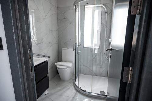 a bathroom with a shower and a toilet and a sink at Cittadella View Penthouse with Jacuzzi in Victoria