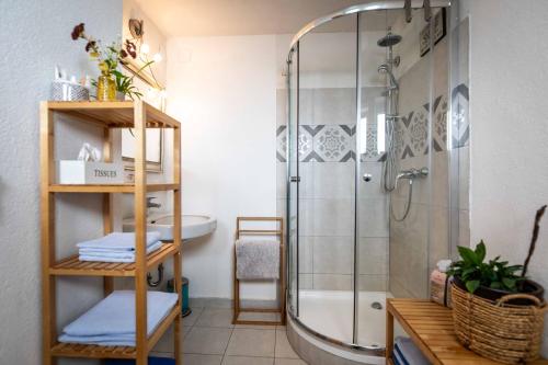 ein Bad mit einer Dusche und einem Waschbecken in der Unterkunft Alpinside Appartements in Heiligenblut