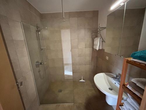 W łazience znajduje się prysznic i umywalka. w obiekcie Haus Widauer w mieście Breitenbach am Inn