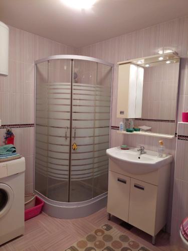 a bathroom with a shower and a sink at Misevici vikendica in Sarajevo