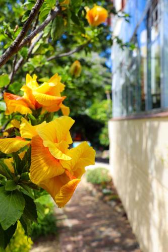 Taman di luar Carmichael House Boutique Hotel