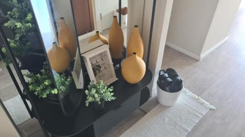 a group of vases sitting on a shelf with plants at Haigen 4 in Herzliya