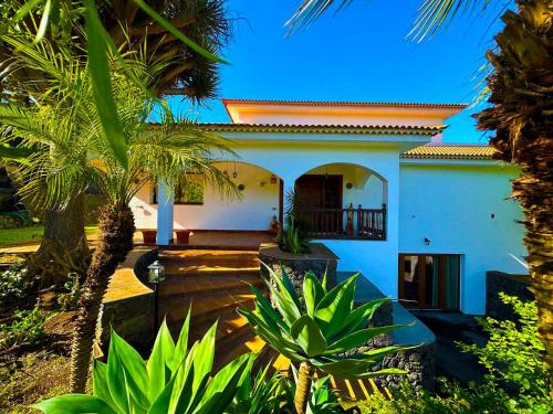 a white house with palm trees in front of it at Drago Tree Villa Tenerife in La Orotava