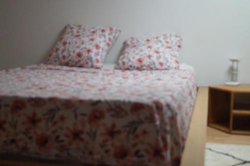 ein Schlafzimmer mit einem Bett mit einer Blumendecke und Kissen in der Unterkunft Repos en campagne in Pexiora