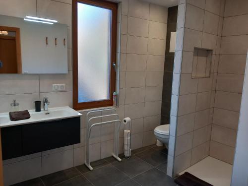 a bathroom with a sink and a toilet at Gite Schlossberg in Colmar