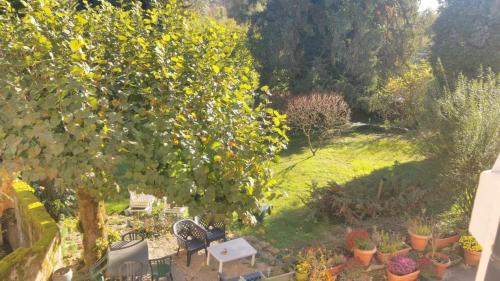 an overhead view of a garden with a lemon tree at A la Grenouille du Jura in Bellignat