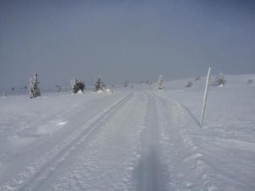 a snow covered field with tracks in the snow at Feriested i Tørberget in Tørberget