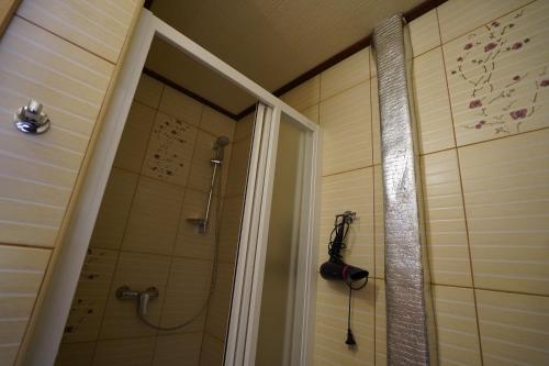 Gallery image of Hotel Ozero Vita in Nizhniy Studenyy