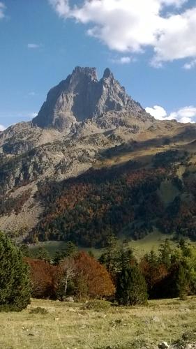 a mountain in the middle of a field with trees at GITE GETEU in Laruns