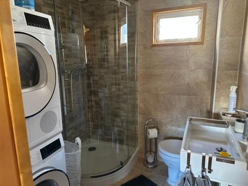 a bathroom with a shower and a toilet and a sink at Chalet Edelweiss à Saint-Martin, Val d'Hérens in Saint-Martin