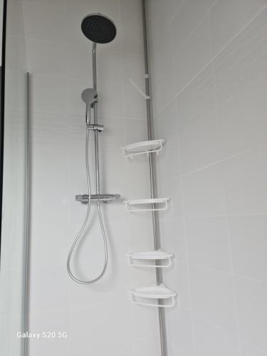 uma cabina de duche em vidro com uma cabeça de chuveiro e prateleiras em Serrimmo - appartement Aude em Bléneau