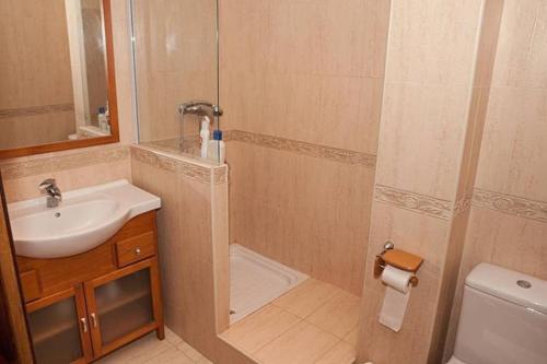 ein Bad mit einer Dusche, einem Waschbecken und einem WC in der Unterkunft Apartamento en NERJA. Primera línea de playa in Nerja