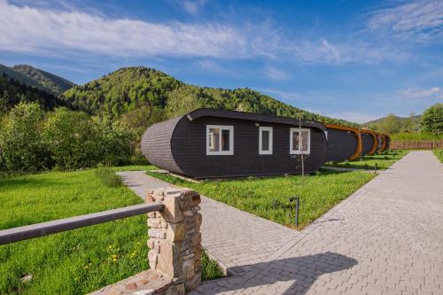 a house on the side of a field with a mountain at Рибничанка in Skhidnitsa