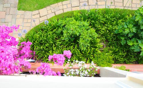 Taman di luar Carmichael House Boutique Hotel