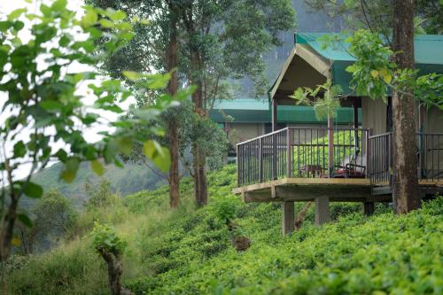a tree house with a deck in the woods at Madulkelle Tea and Eco Lodge in Kandy
