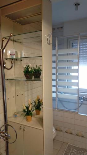 a bathroom with potted plants on the shelves at La Perla dei Templi in Agrigento