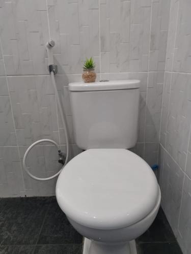 La salle de bains est pourvue de toilettes et d'une plante au-dessus. dans l'établissement Hisar Guest House, à Tuk Tuk